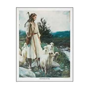 Adventist Book Center Online - Adventist Books, Music and Media